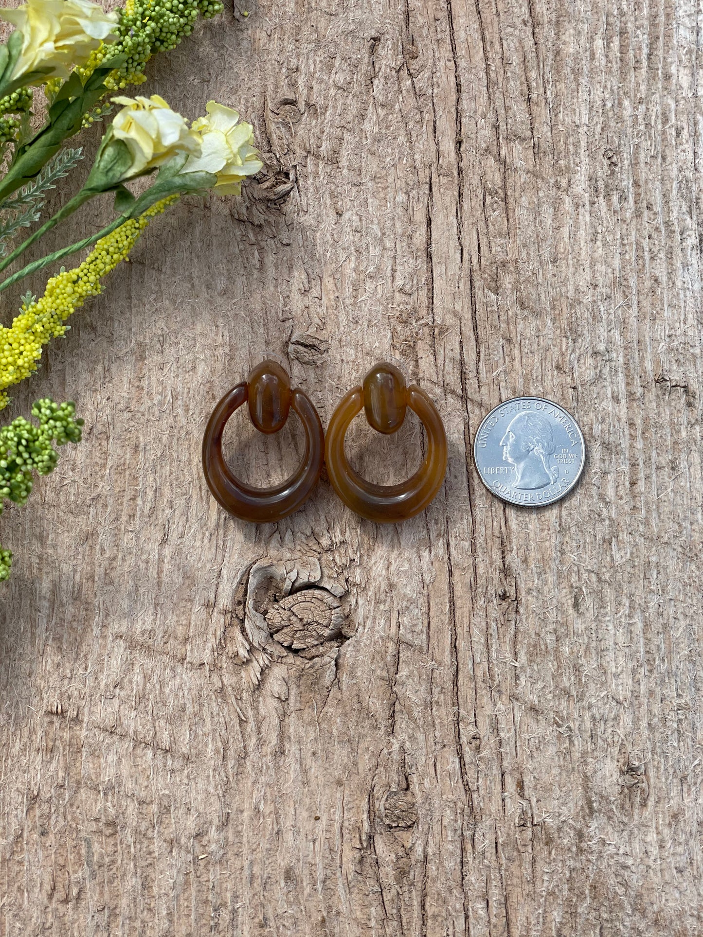 Brown Oval Earrings