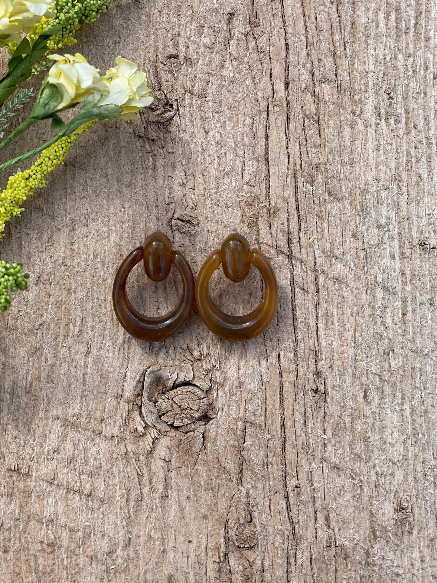 Brown Oval Earrings